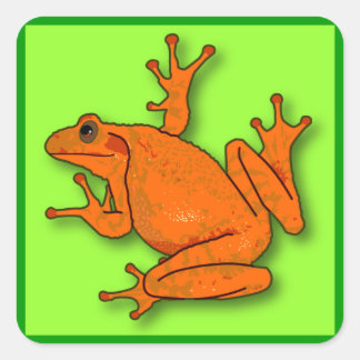 Square Oranje Frog Sticker