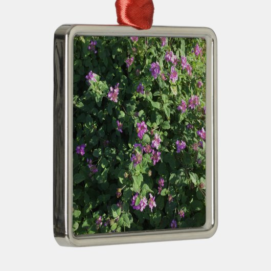 Square Ornament (Rechts)