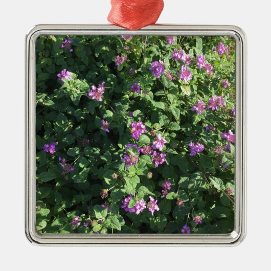 Square Ornament (Voorkant)