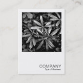 Square Photo 0132 - Rhododendron Leaves Visitekaartje (Voorkant)