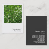 Square Photo 0136 - Daisy Lawn Visitekaartje (Voorkant / Achterkant)