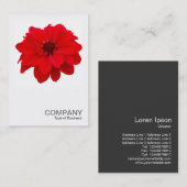 Square Photo 0160 - Dahlia, bisschop van Llandaff Visitekaartje (Voorkant / Achterkant)