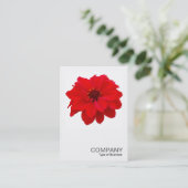 Square Photo 0160 - Dahlia, bisschop van Llandaff Visitekaartje (Staand voorkant)