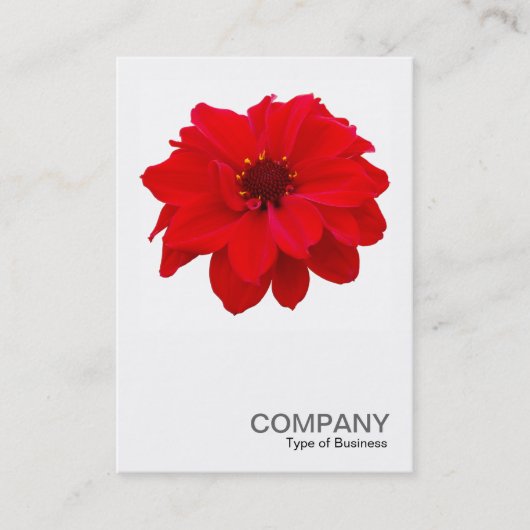 Square Photo 0160 - Dahlia, bisschop van Llandaff Visitekaartje (Voorkant)