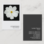 Square Photo 0167 - Cosmos Flower on Black Visitekaartje (Voorkant / Achterkant)
