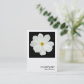 Square Photo 0167 - Cosmos Flower on Black Visitekaartje (Staand voorkant)