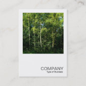 Square Photo 0168 - Silver Birch Trees Visitekaartje (Voorkant)
