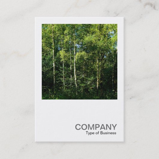 Square Photo 0168 - Silver Birch Trees Visitekaartje (Voorkant)