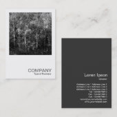 Square Photo 0169 - Silver Birch Trees Visitekaartje (Voorkant / Achterkant)