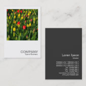 Square Photo 0202 - Colorful Tulips Visitekaartje (Voorkant / Achterkant)