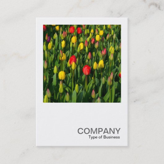 Square Photo 0202 - Colorful Tulips Visitekaartje (Voorkant)