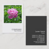 Square Photo 0234 - Pink Peony Visitekaartje (Voorkant / Achterkant)