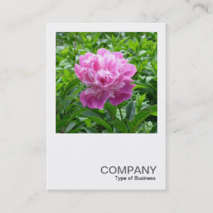 Square Photo 0234 - Pink Peony Visitekaartje