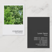 Square Photo 0237 - Summer Breeze Visitekaartje (Voorkant / Achterkant)