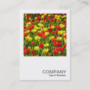 Square Photo 0320 - Zee van Tulips III Visitekaartje