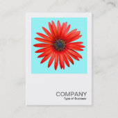 Square Photo 0344 - Red Devil on Ice Blue Visitekaartje (Voorkant)