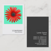 Square Photo 0344 - Red Devil op Turquoise Visitekaartje (Voorkant / Achterkant)