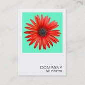 Square Photo 0344 - Red Devil op Turquoise Visitekaartje (Voorkant)