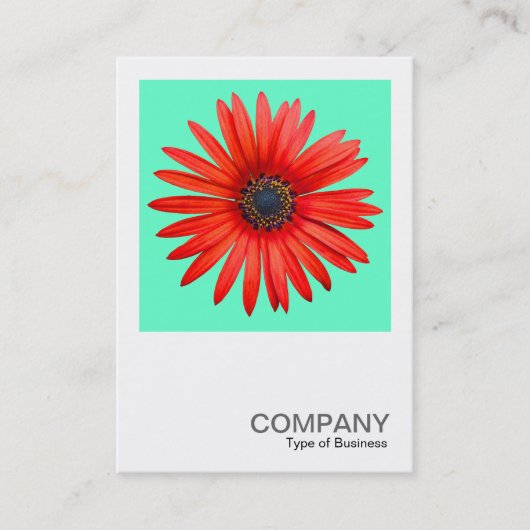 Square Photo 0344 - Red Devil op Turquoise Visitekaartje (Voorkant)