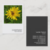 Square Photo 0365 - Hover Fly on a Yellow Chrysant Visitekaartje (Voorkant / Achterkant)