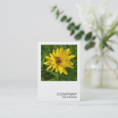 Square Photo 0365 - Hover Fly on a Yellow Chrysant Visitekaartje (Staand voorkant)