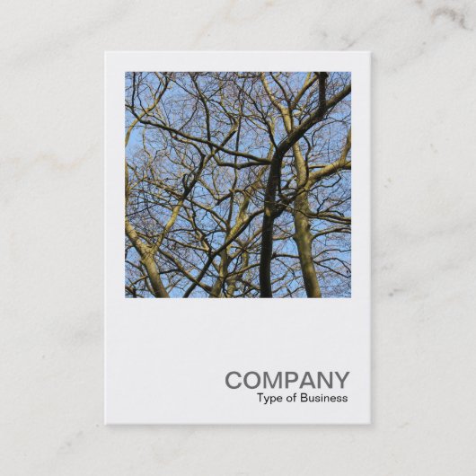 Square Photo 0384 - Branches Visitekaartje (Voorkant)