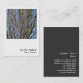 Square Photo 0385 - Sunlit Branches Visitekaartje (Voorkant / Achterkant)