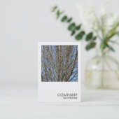 Square Photo 0385 - Sunlit Branches Visitekaartje (Staand voorkant)