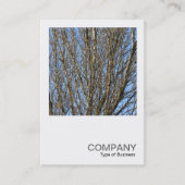 Square Photo 0385 - Sunlit Branches Visitekaartje (Voorkant)