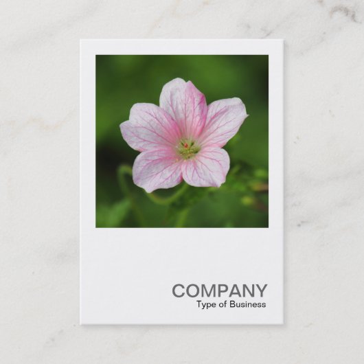 Square Photo 0419 - Geranium Visitekaartje (Voorkant)