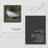 Square Photo 0452 - White Pigeon Visitekaartje (Voorkant / Achterkant)