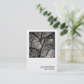 Square Photo 0458 - Magnolia Tree Visitekaartje (Staand voorkant)