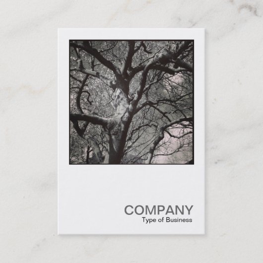 Square Photo 0458 - Magnolia Tree Visitekaartje (Voorkant)