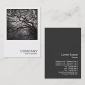 Square Photo 0462 - Magnolia Tree in Blossom 01 Visitekaartje (Voorkant / Achterkant)