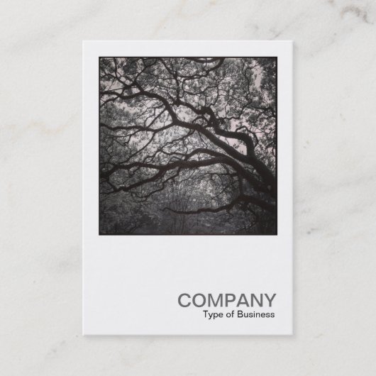 Square Photo 0462 - Magnolia Tree in Blossom 01 Visitekaartje (Voorkant)