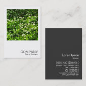 Square Photo 0467 - Wilde knoflook Visitekaartje (Voorkant / Achterkant)