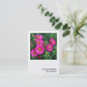 Square Photo 0492 - Michaelmas Daisies Visitekaartje (Staand voorkant)