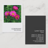 Square Photo 0493 - Michaelmas Daisies 02 Visitekaartje (Voorkant / Achterkant)