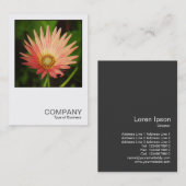 Square Photo 0506 - African Daisy Visitekaartje (Voorkant / Achterkant)