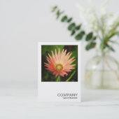 Square Photo 0506 - African Daisy Visitekaartje (Staand voorkant)