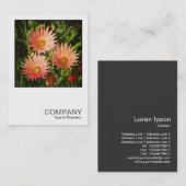 Square Photo 0507 - African Daisies Visitekaartje (Voorkant / Achterkant)
