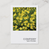 Square Photo 0508 - Yellow Daisies Visitekaartje (Voorkant)