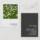 Square Photo 0513 - Daisy Meadow Visitekaartje (Voorkant / Achterkant)