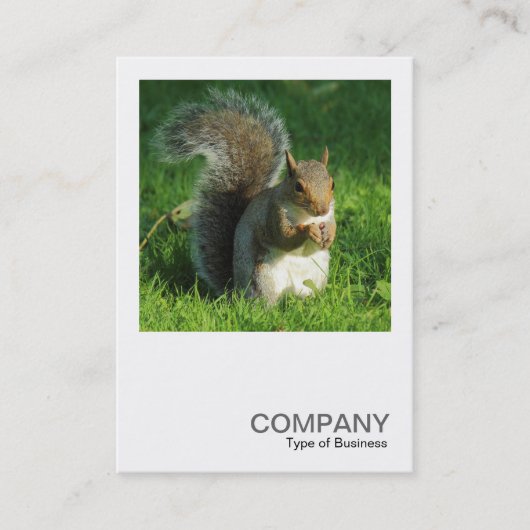 Square Photo 0552 - Gray Squirrel Eating Nuts Visitekaartje (Voorkant)