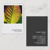 Square Photo 0559 - Colorful Leaf Visitekaartje (Voorkant / Achterkant)