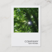 Square Photo 093 - Sun in the Trees Visitekaartje (Voorkant)