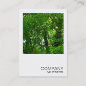 Square Photo 094 - Trees in Spring Visitekaartje (Voorkant)
