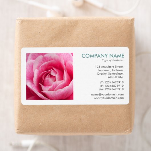 Square Photo - Camelia Etiket (Insitu)