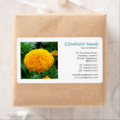 Square Photo - Chrysanthemum Etiket (Insitu)