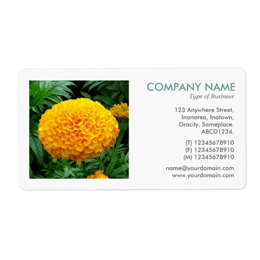 Square Photo - Chrysanthemum Etiket (Voorkant)